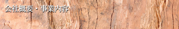 会社概要・事業内容